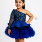 Navy blue embroidered fabric Dress
