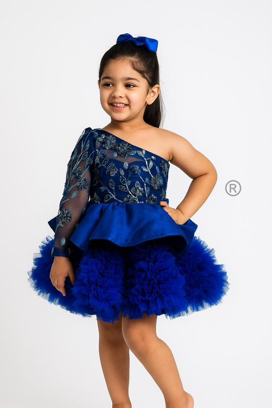 Navy blue embroidered fabric Dress
