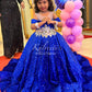 Royal blue velvet sequin gown withhand work