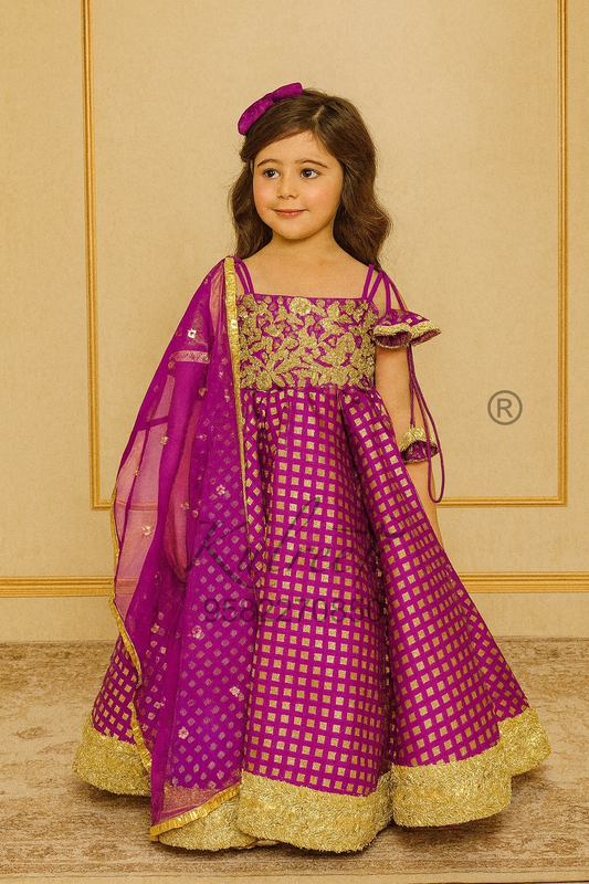 Embroidered brocade silk Stylish  gown Lehenga and Dupatta