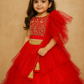 red hand embroidered blouse with unique style lehenga