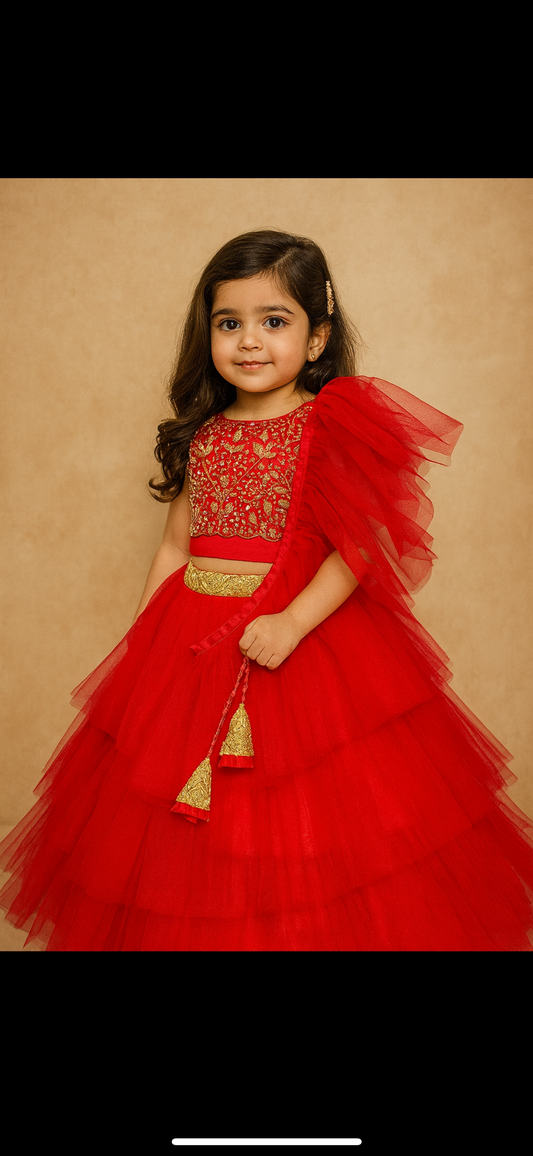 red hand embroidered blouse with unique style lehenga