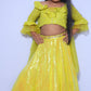 chickenkari  embroidered blouse with sequin  lehenga